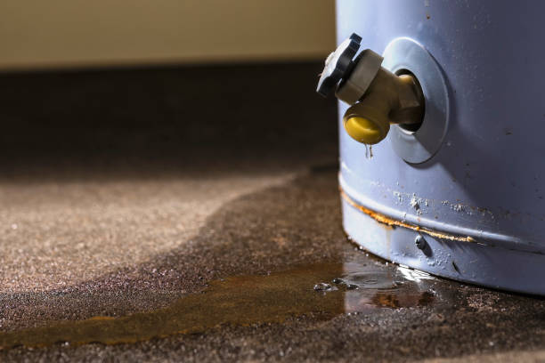 Best Local water damage restoration  in Blakely, PA