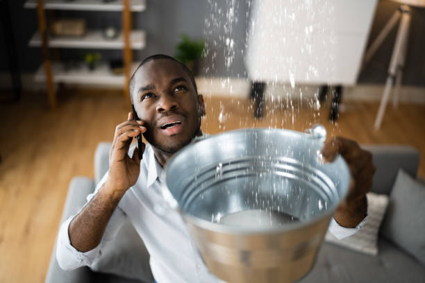 Best 24-hour water damage restoration  in Blakely, PA