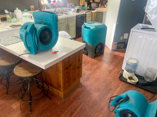 Best Mold removal after water damage  in Blakely, PA