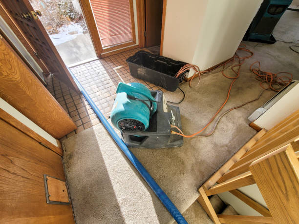 Best Water damage cleanup near me  in Blakely, PA
