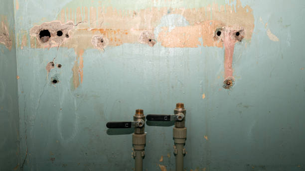  Blakely, PA Water damage restoration Pros