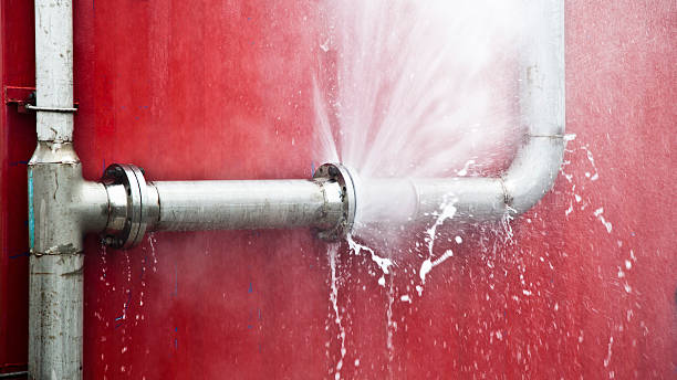 Best Professional water damage repair  in Blakely, PA