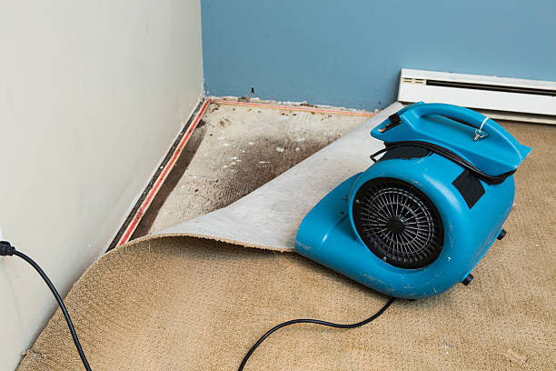  Blakely, PA Water damage restoration Pros