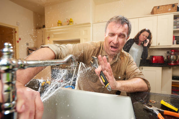 Best Professional water damage repair  in Blakely, PA